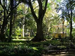 Pin En Xalapa