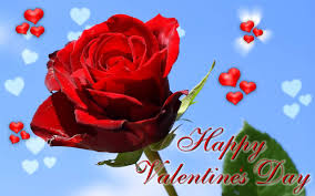 Day roses pictures hd wallpaper beautiful still life pinterest. Valentine S Day Flowers Wallpapers Wallpaper Cave