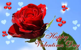 Bel aire flowers is passionate about floral arrangements, especially valentine's day 2020! Valentines Flowers Wallpapers Wallpaper Cave