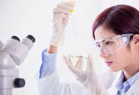 Little Dish, Big Impact