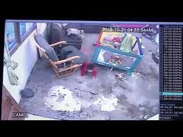 Merdivenden Dusmek Uzere Olan Bebegi Kurtaran Kedi Youtube