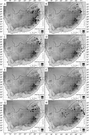 Image result for Thesium vahrmeijeri