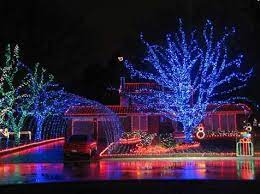 Wrapping Trees With Christmas Lights Christmas Lights Etc Outdoor Led Christmas Lights Christmas Light Installation Hanging Christmas Lights