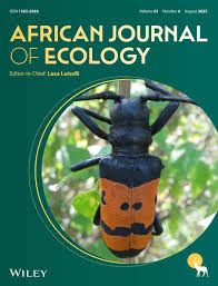 Image result for Harpachne schimperi