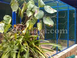 Maybe you would like to learn more about one of these? Reban Besi L Berlubang Uniaga Aviary