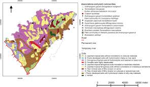 Image result for Euclasta condylotricha