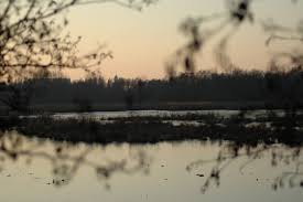 On the othere side the entrance to natural reserve molsbroek. Molsbroek Lokeren Zonsondergang Mapio Net