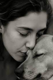 Best Western near Glacier National Park?