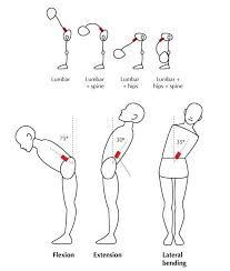 Image result for Low Back Standing Exam