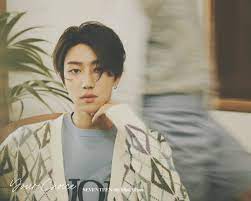 He is a member of the south korean boy g. The8 Seventeen Wiki Fandom