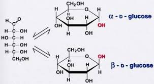 Glucose is a simple sugar with the molecular formula c6h12o6. Glikoz Nedir Formulu Yararlari Ne Ise Yarar Glikoz Hangi Besinlerde Bulunur Biyoloji Konu Anlatim
