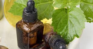 Huile Essentielle De Patchouli Proprietes Et Bienfaits Beaute Cherie