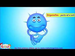 Around 1838, an animal physiologist, theodor schwann, and a botanist, matthias schleiden, put forth the unprecedented work on the concept of cells as the building blocks of all living organisms. Using Videos In Science Is A Great Way To Reinforce What You Are Teaching This Post Shares Videos For Teaching Animal Cell Structure Science Cells Animal Cell