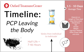 How long does marijuana/weed stay in your system? How Long Does Pcp Stay In Your System Oxford Treatment Center