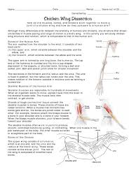 One of the most important constituents of the human anatomy, the arm plays a vital role in various body functions. Chicken Wing Dissection Arm Shoulder