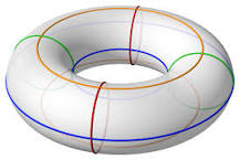 Torus - Wikipedia