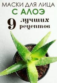 маски для лица в домашних условиях от морщин с алоэ Maska Iz Aloe Dlya Lica Aloe On Face Aloe Face Mask Skin Care Spa