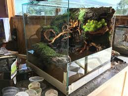 Custom Paludarium By Sam Rutka Terrarium Pets Aquarium