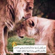 اسد#ملك#lion#لبوه#حب | Cat aesthetic, Lion king poster, Girly drawings