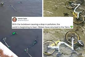 We Are The Virus" Meme: People Think "Coronavirus Is The Cure"