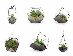 Handmade Hanging And Tabletopplants Terrariums 2 Png 600 458 Glass Terrarium Geometric Terrarium Stained Glass Projects