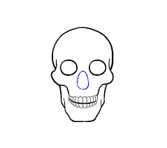 How To Draw A Skull Step By Step Tutorial Easy Drawing Guides Skulls Drawing Easy Drawings Drawings