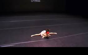Mackenzie Dance Doctor Mackenzie And Maddy Zieglar Dance Animals