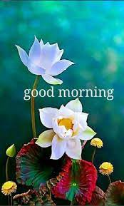 Good morning, translate into vietnamese is: 11 Good Morning Vietnam Ideas Good Morning Quotes Morning Quotes Good Morning Images