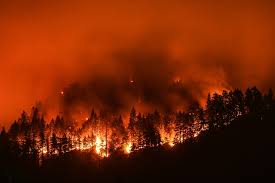 Image result for The fires