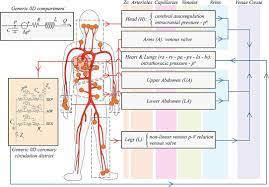 Frontiers | Cardiovascular Response to Posture Changes: Multiscale Modeling  and in vivo Validation During Head-Up Tilt