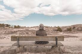 Grieving the loss of a pet cat after euthanasia. Finding Peace After Euthanasia Grief Healing Pet Loss