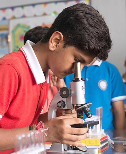 Middle Stage - Cosmos Castle International School