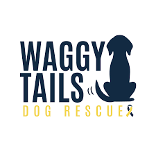 We did not find results for: Waggy Tails Dog Rescue Home Facebook
