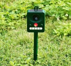 So why has such a doubt come up whether these repellents actually work or not! How Dangerous Are Ultrasonic Pest Repellers Townhustle