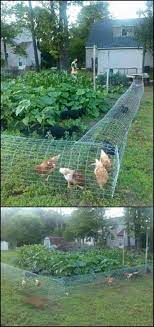 Diy Chicken Tunnel System Makes Chickens Do The Gardening Diy Projects For Everyone Backyard Chicken Coop Plans Chicken Tunnels Chicken Diy