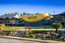 No trip along the coffs coast is complete without a stop! Big Banana Fun Park Village Building Co