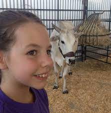 Petting Zoo In Traders Village Sanantonio Zoo Animals Pets Zoo