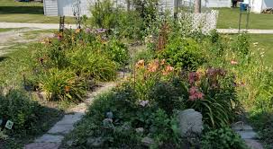 Maybe you would like to learn more about one of these? French Intensive Gardens Root Well In Central Illinois University Of Illinois Extension