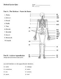 Please understand that our phone lines must be clear for urgent medical care needs. Skeletal System Quiz By Curriculum By Carlson Teachers Pay Teachers