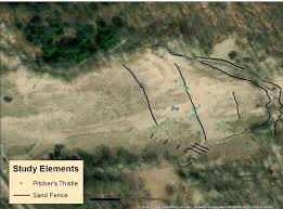 The Effects of Sand Fences