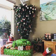 Messung der raum zwischen der decke und dem boden. Weihnachtsbaum Kopfuber Stellen Ist Das Der Neue Weihnachtstrend
