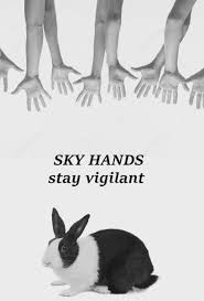 Non mentire!! Quanti conigli hai ucciso? : r/skyrim