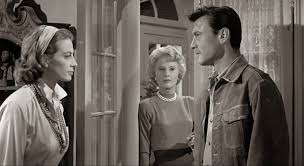 All images on this website are provided by the movie db unless otherwise stated. Dreams Are What Le Cinema Is For Walk On The Wild Side 1962