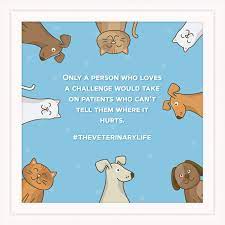 There are 2699 veterinarian graduation gift for sale on etsy, and they cost $27.34 on average. Amazon Com Jeem Gifts For Veterinarians 7x7 Tile Artwork For Veterinarian Vet Technician Appreciation Gift Graduation Present For Veterinary Student Great For Clinic And Office Decor Home Kitchen