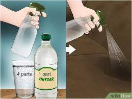 In a bowl, mix 10 ounces of 3 percent hydrogen peroxide, 3 tablespoons of recently opened baking. 3 Ways To Clean Pee Off A Couch Wikihow