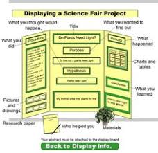 7 Best Science Fair Poster Images Science Fair Poster