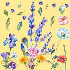 Flower summer aesthetic vsco, Nature True Color" iPhone Case for Sale by  Flowerspattern