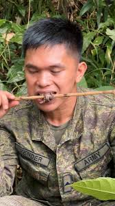 Balugo NHS BSP 301617 dodao/la je...