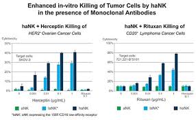 Recent years, the sales amount ofnk30/30 ina is keeping on increasing. Nk 10k 20191231 Htm