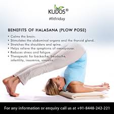 Halasana Plow Pose Yoga Facts Beginner Yoga Workout Easy Yoga Workouts